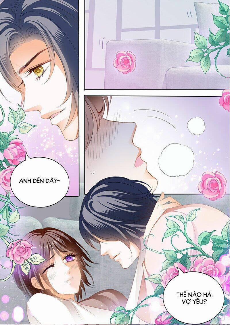 Thiểm Hôn Kiều Thê 288 trang 5