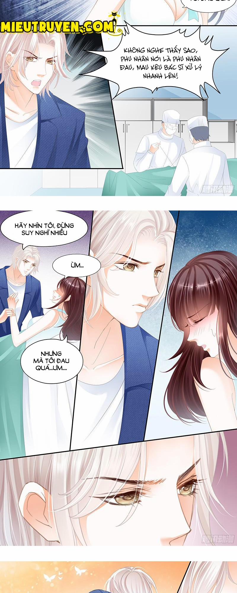 Thiểm Hôn Kiều Thê 29 trang 8