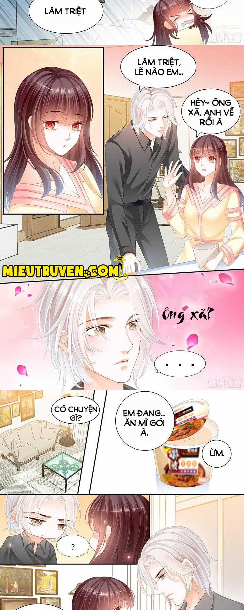 Thiểm Hôn Kiều Thê 44 trang 8