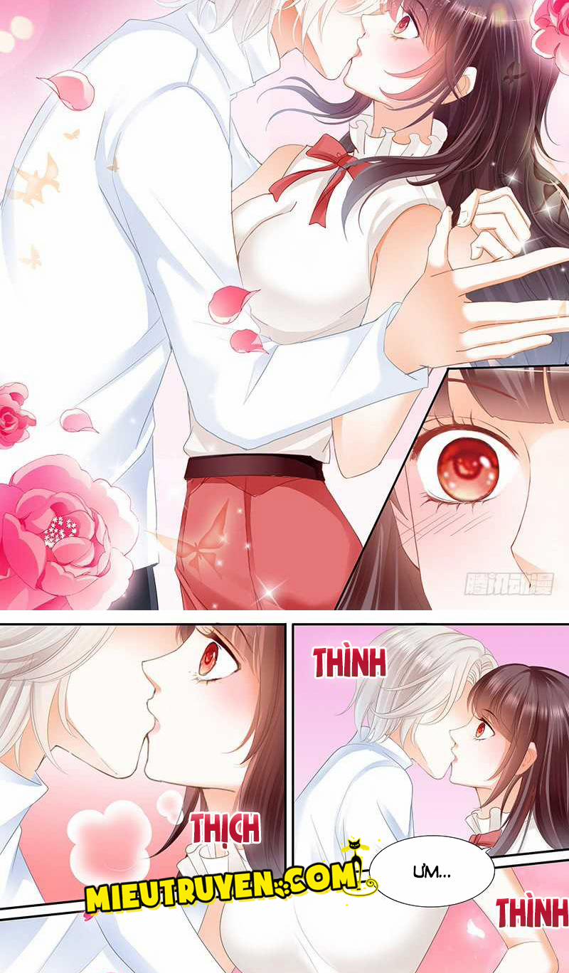 Thiểm Hôn Kiều Thê 49 trang 16