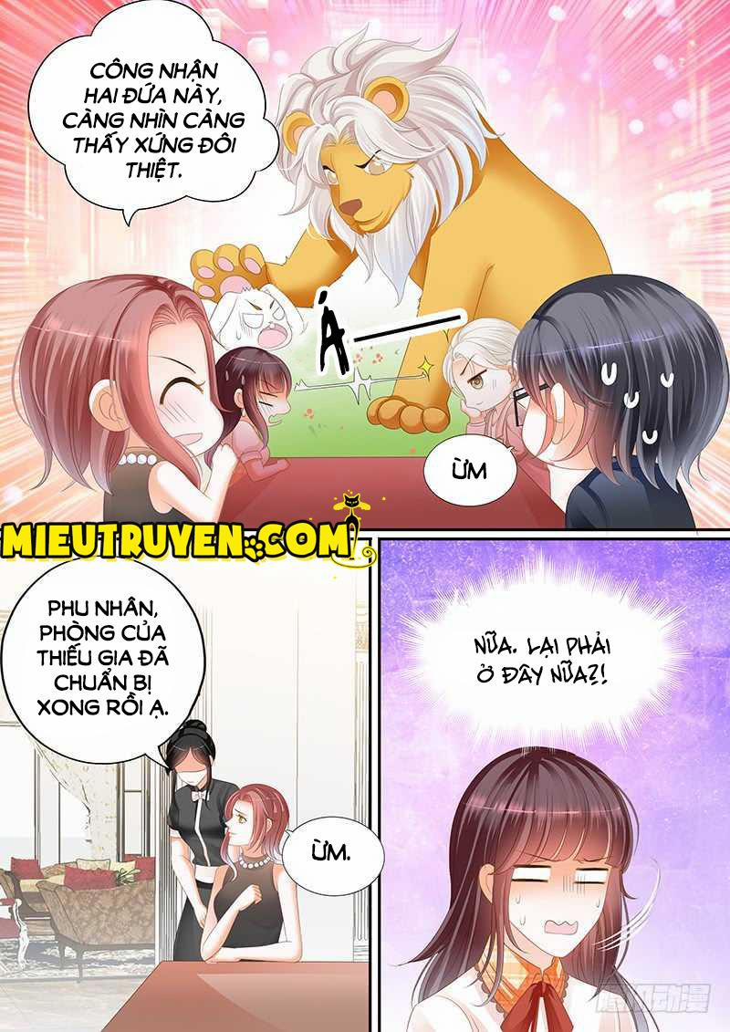 Thiểm Hôn Kiều Thê 61 trang 1