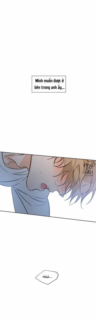 Thiên Đường May Mắn 30.5 trang 8