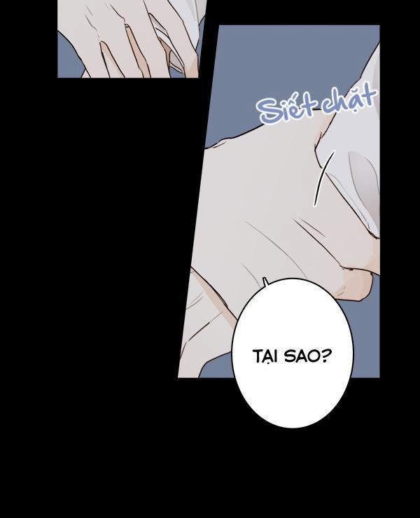 Thiên Đường Táo Xanh 16 trang 2