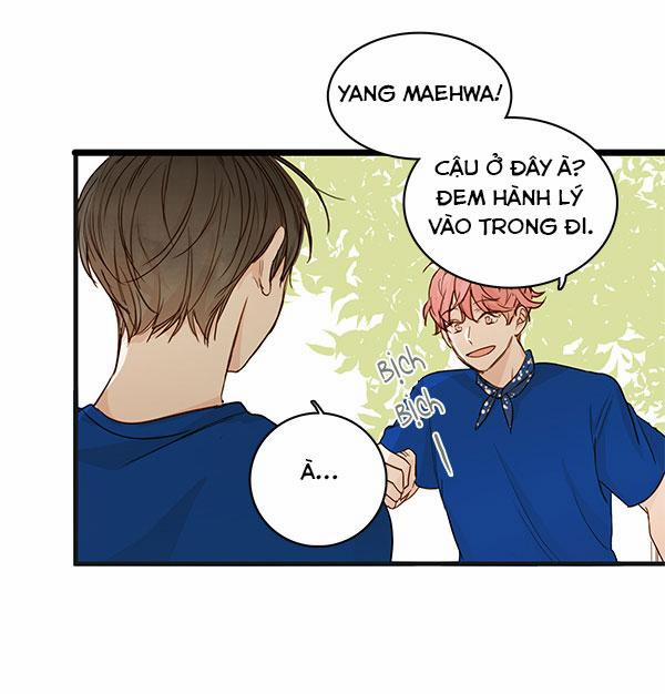 Thiên Đường Táo Xanh 29 trang 11