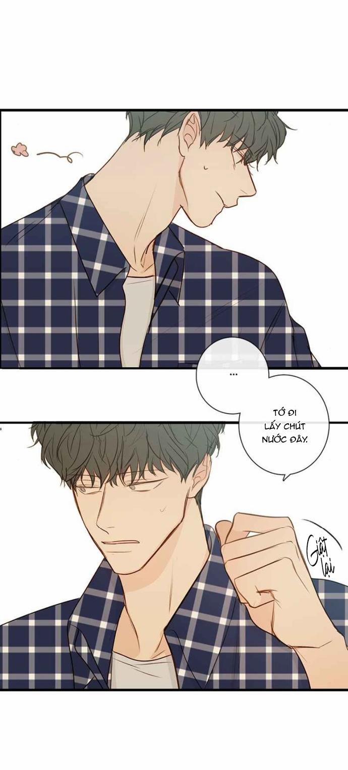 Thiên Đường Táo Xanh 65 trang 16