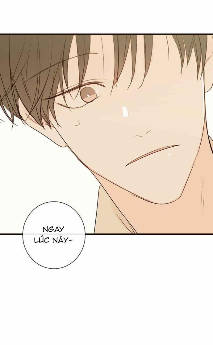 Thiên Đường Táo Xanh 68 trang 48