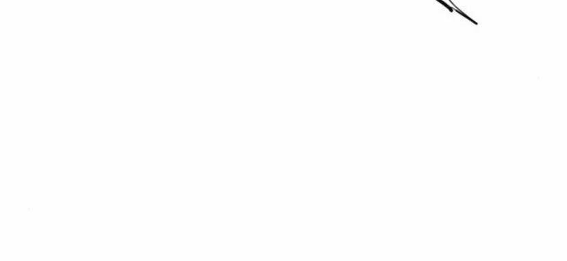 Thiên Hạ Đệ Nhất Nhân 27 trang 90