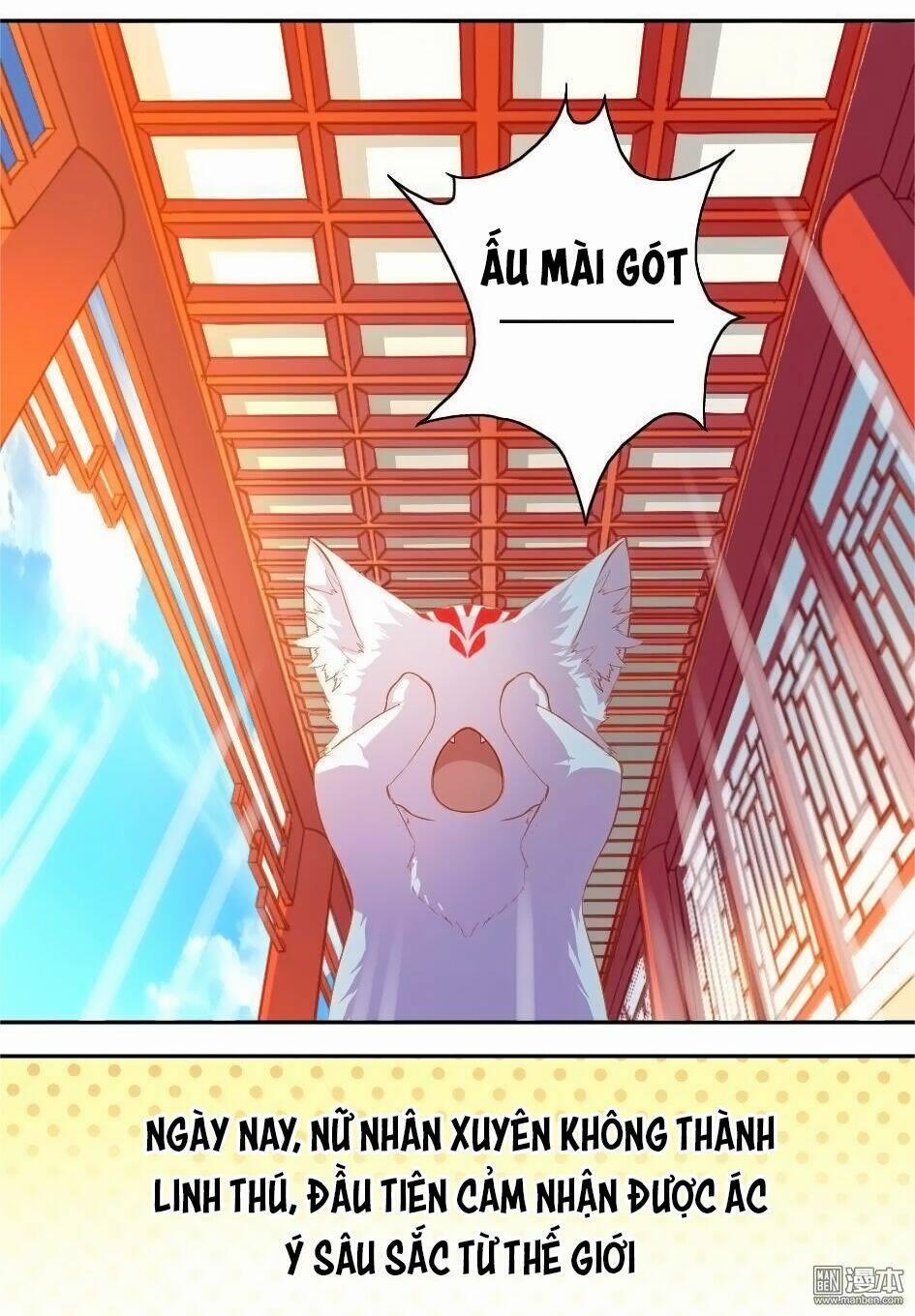 Thiên Hồ Kiếp 3 trang 11