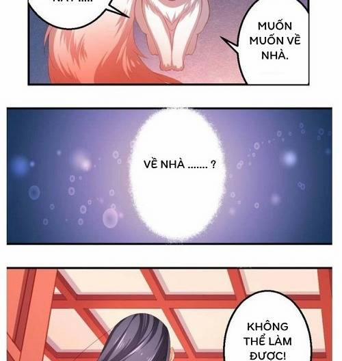 Thiên Hồ Kiếp 6 trang 11