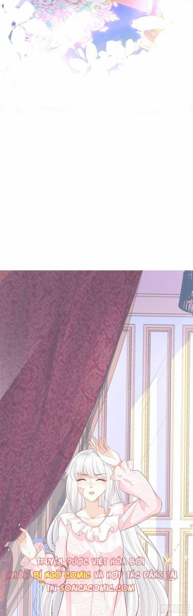 Thiên Kim Đẳng Cấp Của Ác Ma 12 trang 25