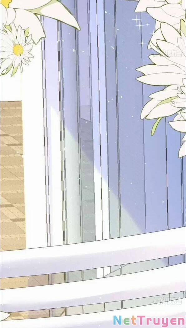 Thiên Kim Đẳng Cấp Của Ác Ma 24 trang 4