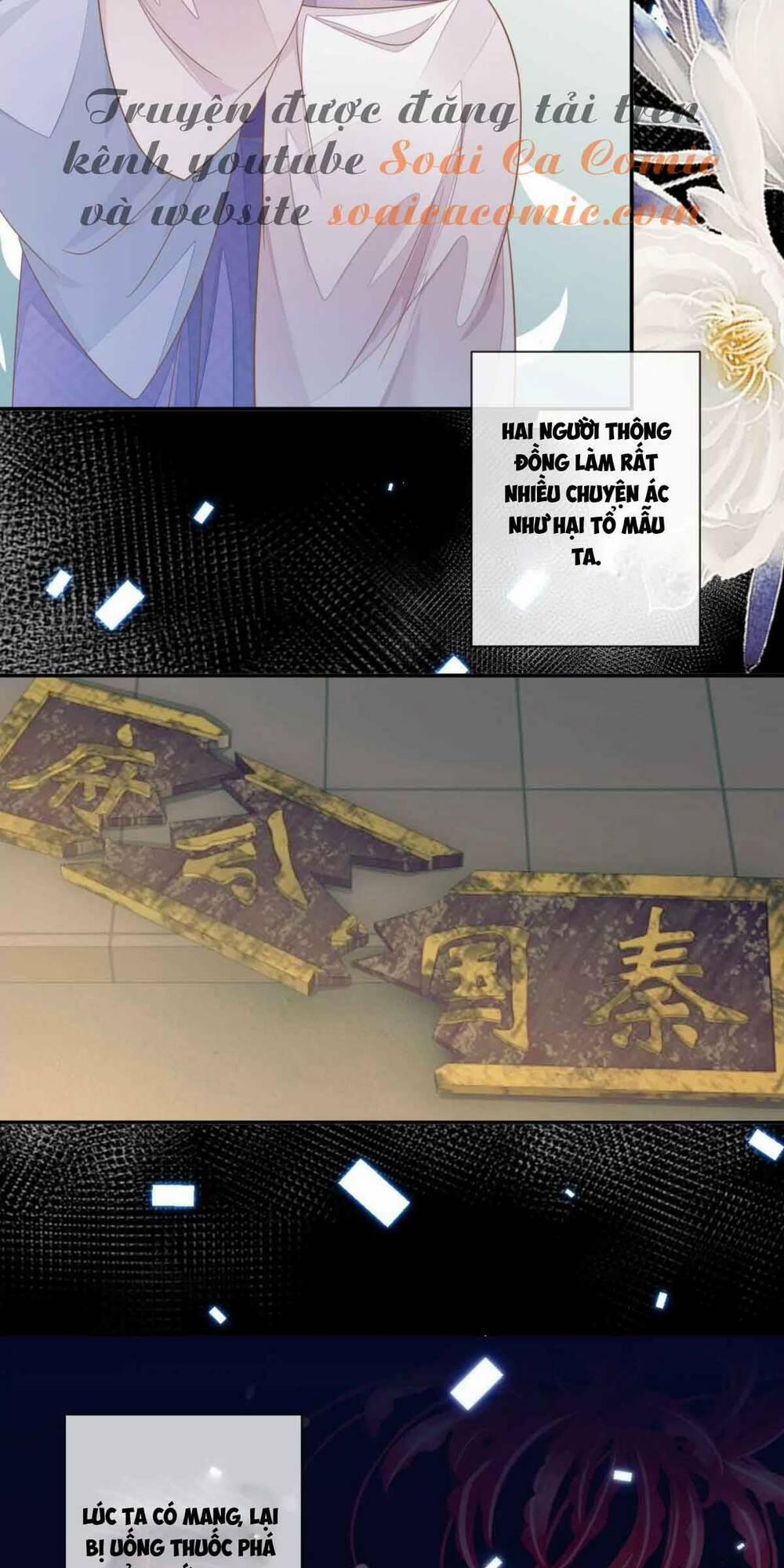 Thiên Kim Độc Phi Trọng Sinh 1 trang 14