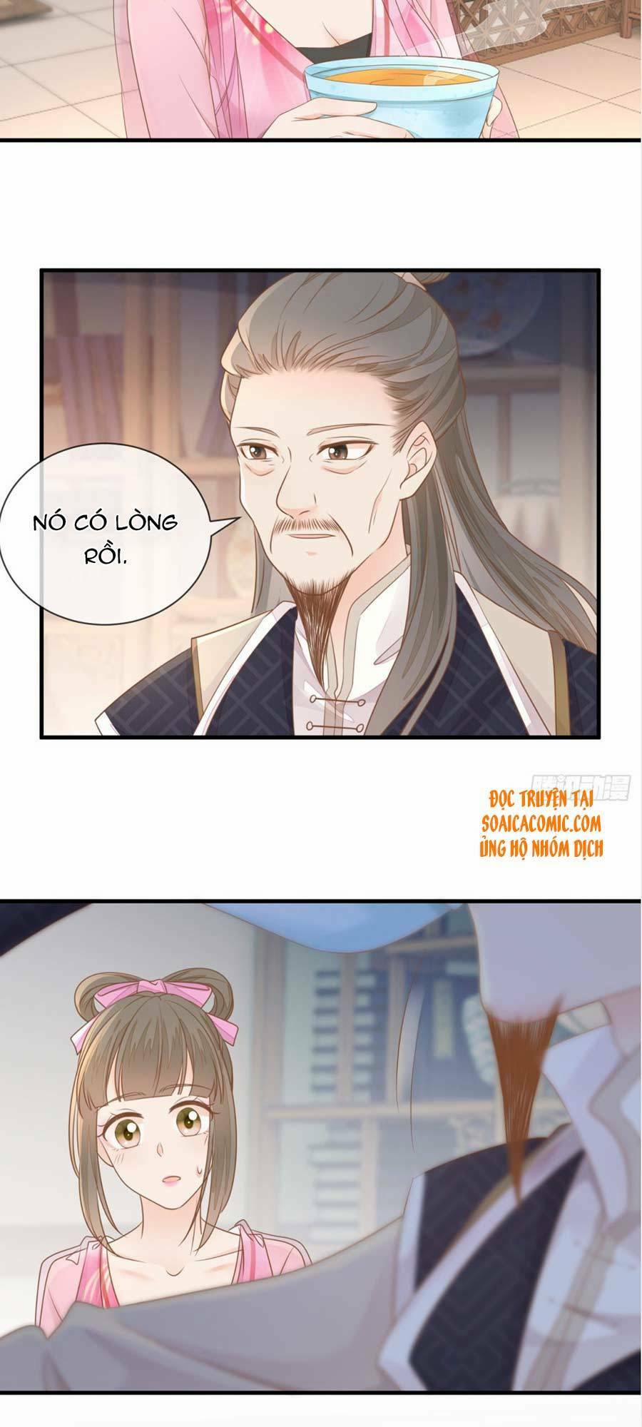 Thiên Kim Độc Phi Trọng Sinh 19 trang 3