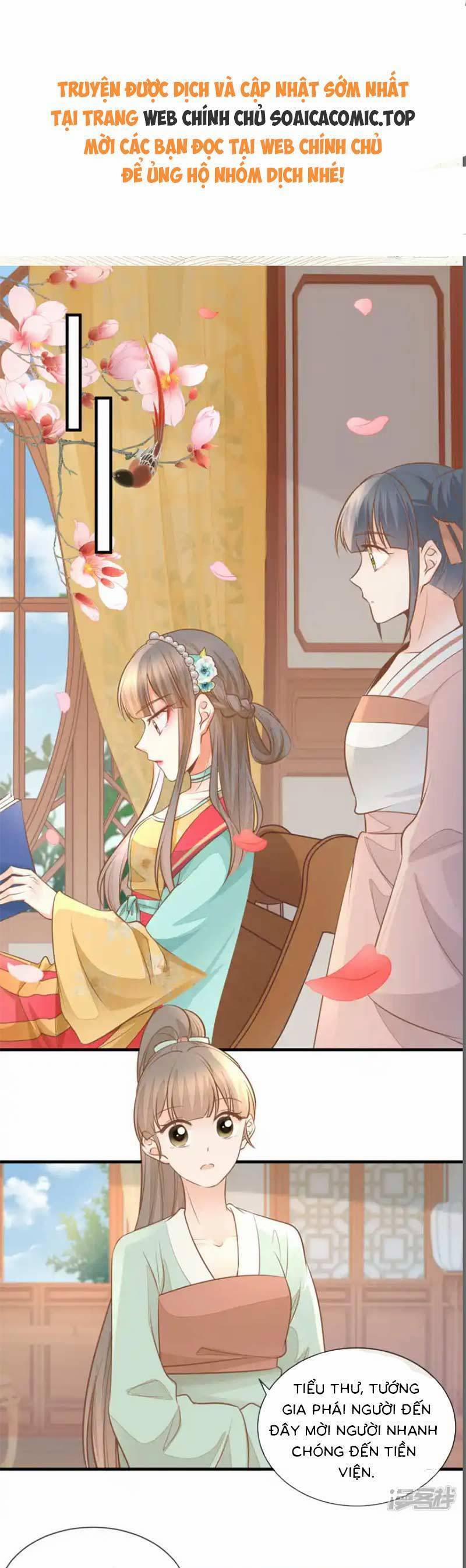 Thiên Kim Độc Phi Trọng Sinh 31 trang 0