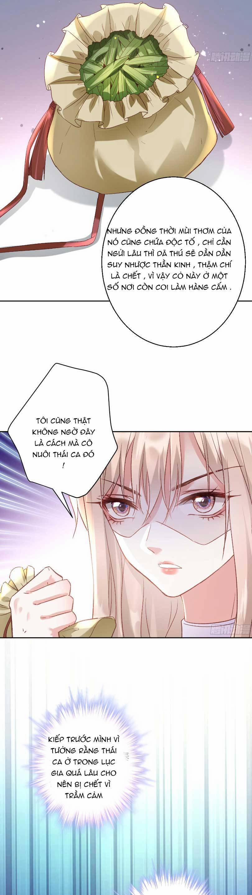 Thiên Kim Giàu Có Phát Điên Sau Khi Tái Sinh 7 trang 11