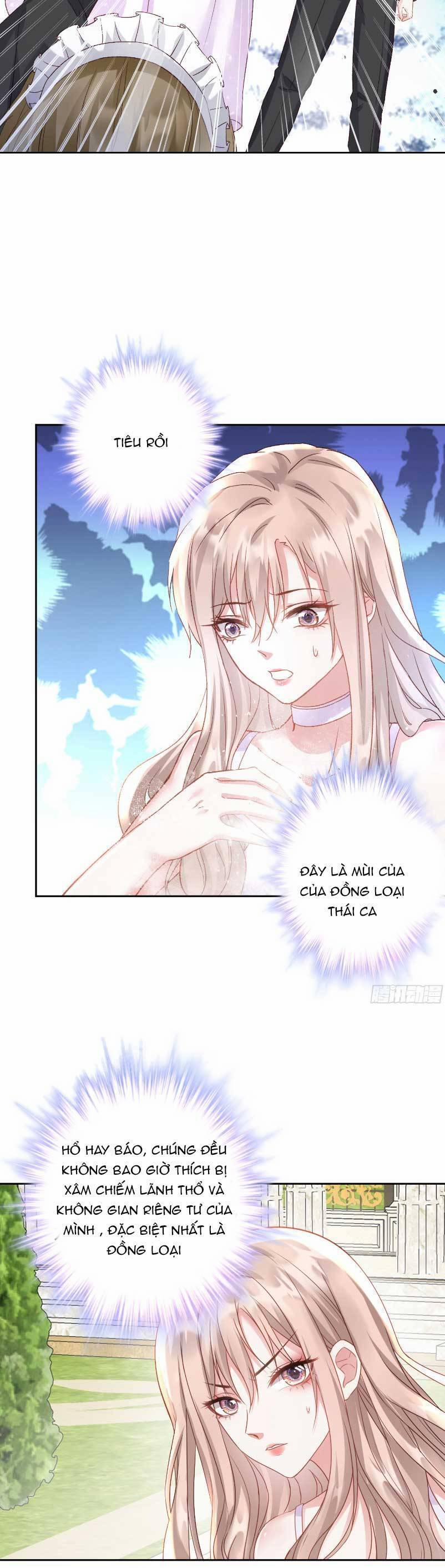 Thiên Kim Giàu Có Phát Điên Sau Khi Tái Sinh 7 trang 13