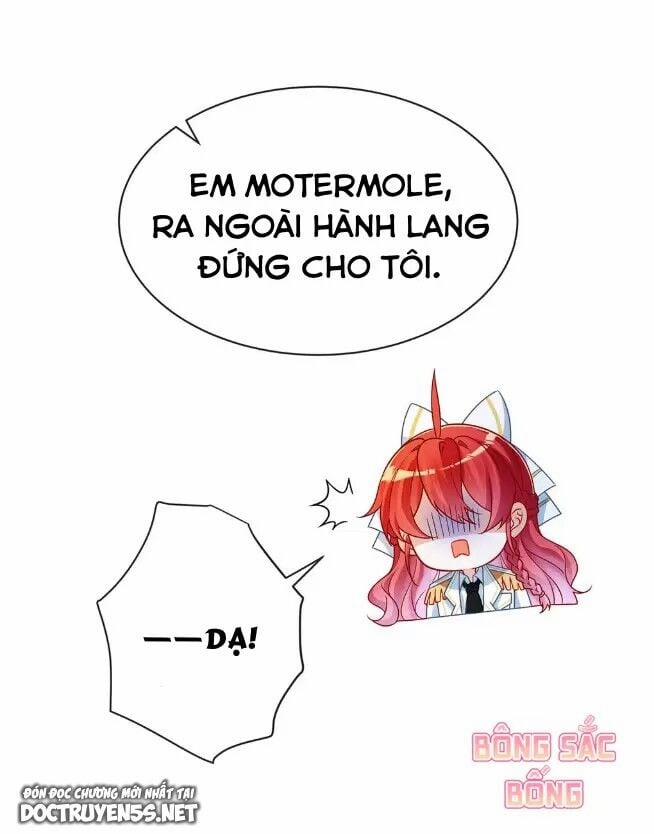 Thiên Kim Phản Diện Và Tiểu Thư Ma Vương 11 trang 47