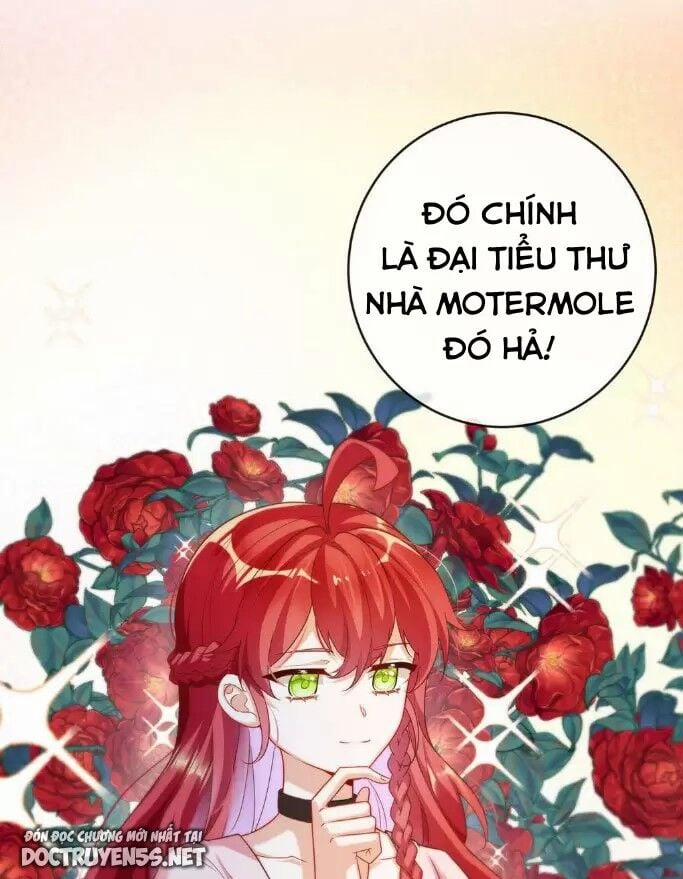 Thiên Kim Phản Diện Và Tiểu Thư Ma Vương 5 trang 53