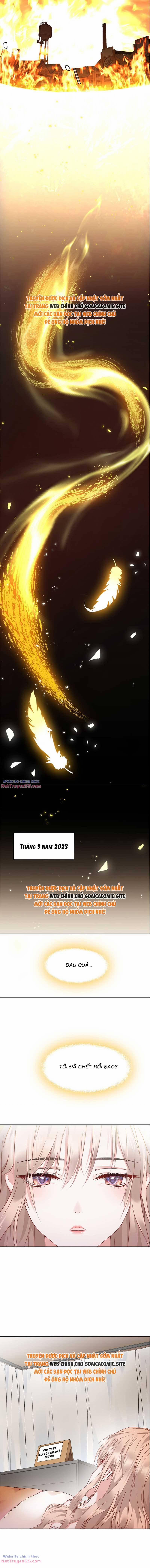 Thiên Kim Toàn Năng Trọng Sinh 1 trang 5