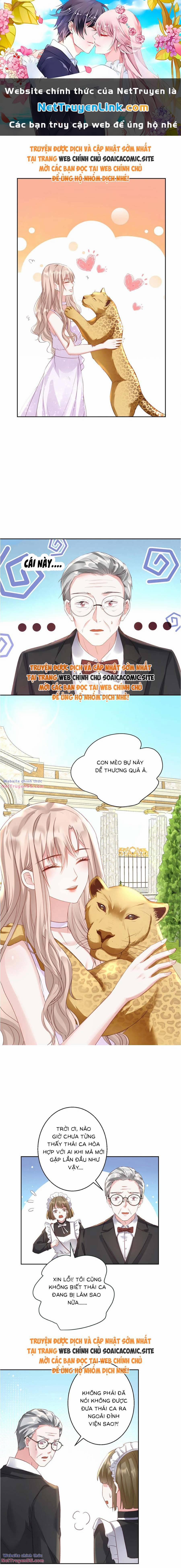 Thiên Kim Toàn Năng Trọng Sinh 5 trang 0