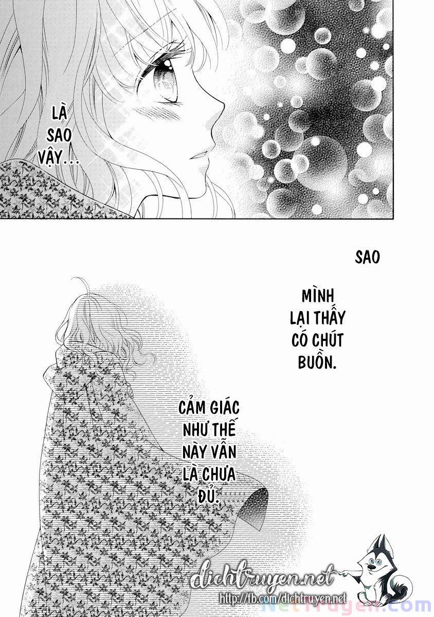 Thiên Mệnh Chi Luyến 29 trang 1