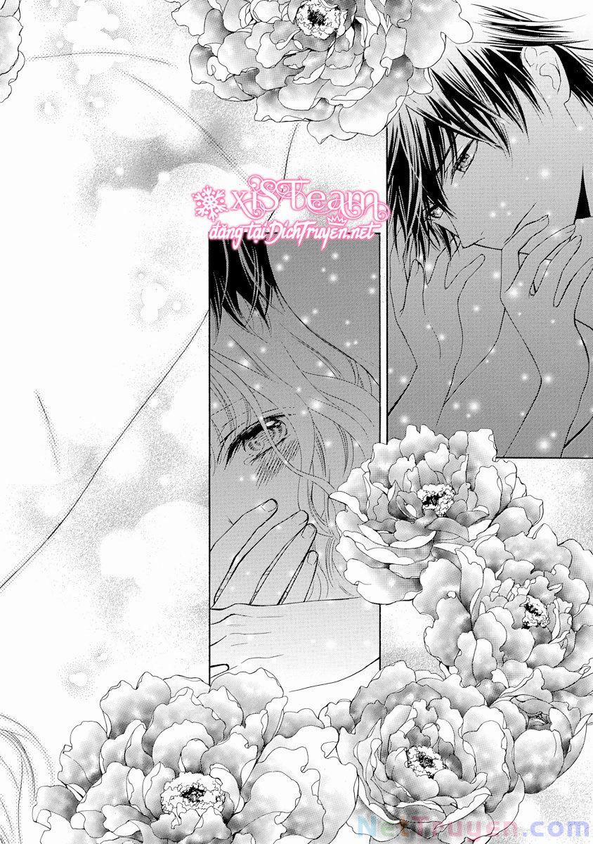 Thiên Mệnh Chi Luyến 29 trang 17