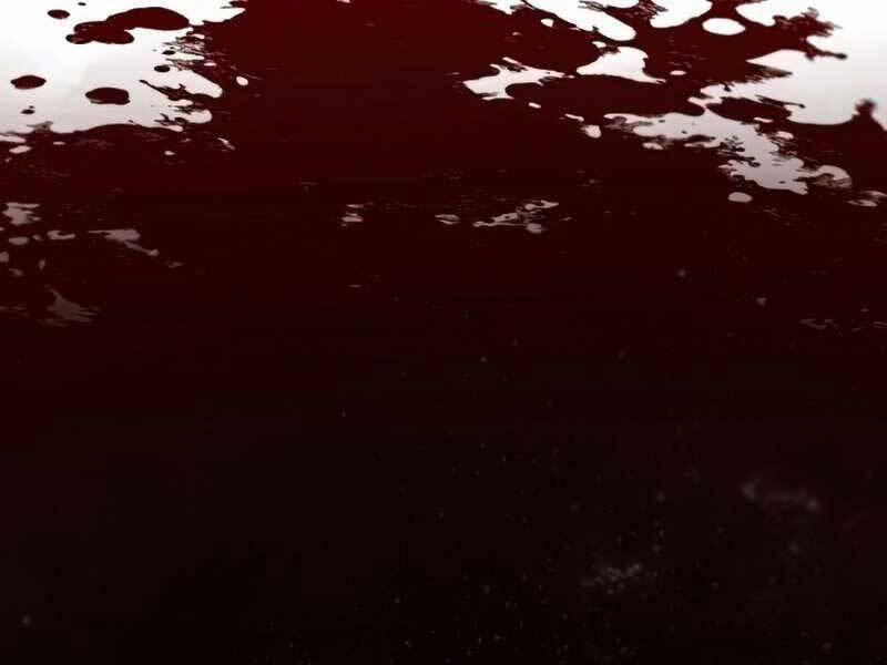 Thiên Quỷ Chẳng Sống Nổi Cuộc Đời Bình Thường 33 trang 206