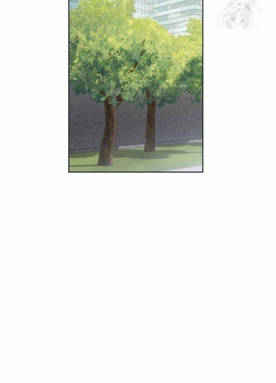 Thiên Tài Âm Nhạc Trường Trung Học 20 trang 10