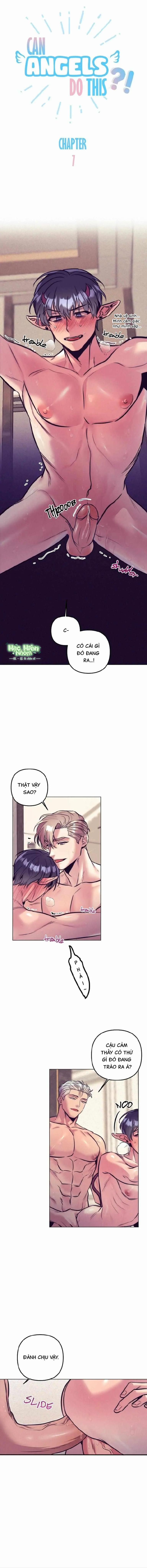 Thiên thần là thế này đây sao? 7 Hachiennhom trang 1