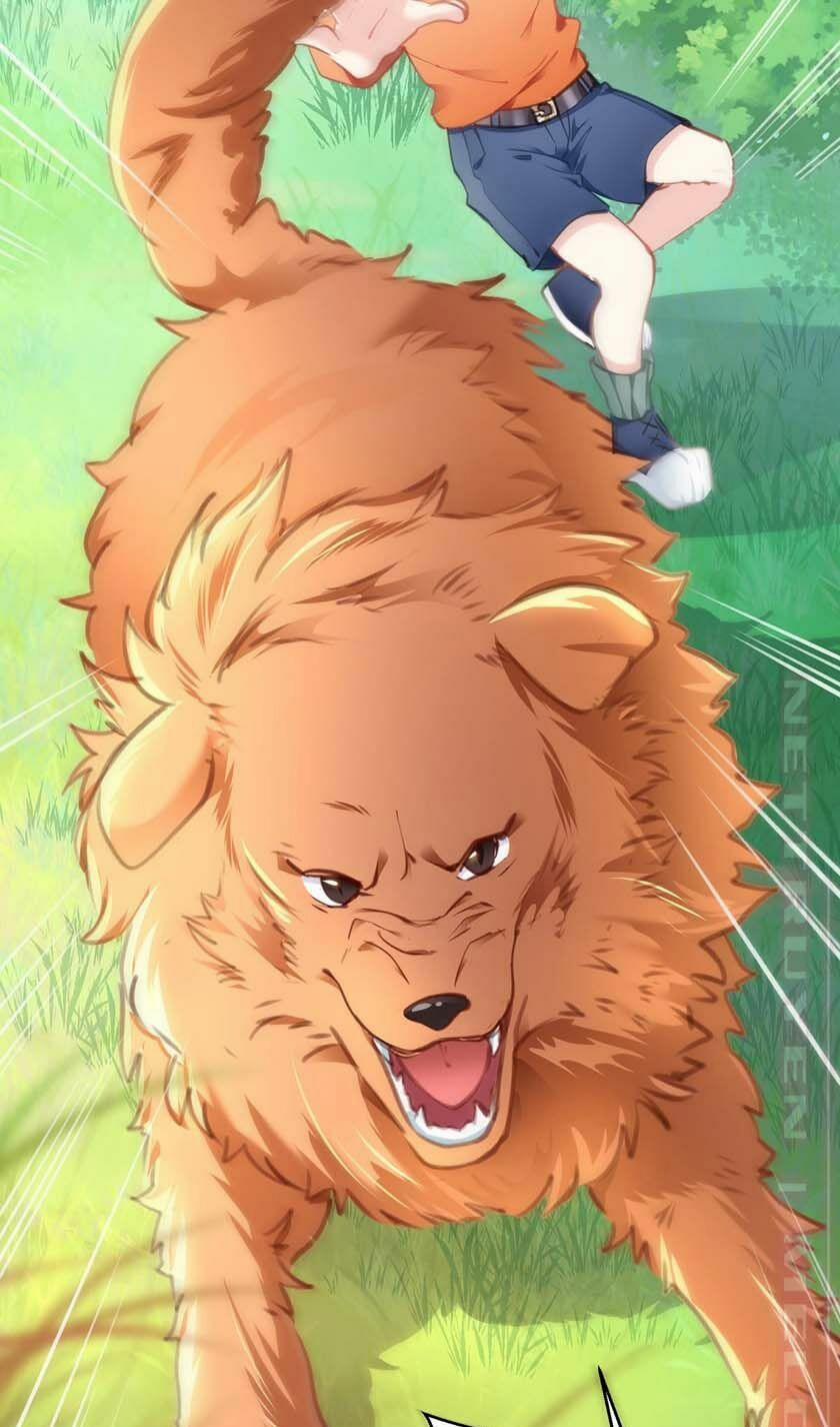 Thiết Lập Nhân Vật Daddy Của Tôi Bị Sụp Đổ 2 trang 4