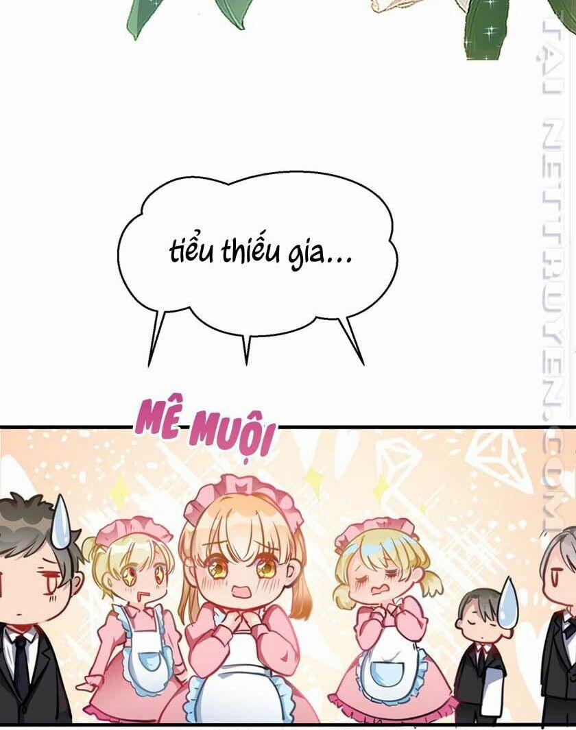 Thiết Lập Nhân Vật Daddy Của Tôi Bị Sụp Đổ 3 trang 19