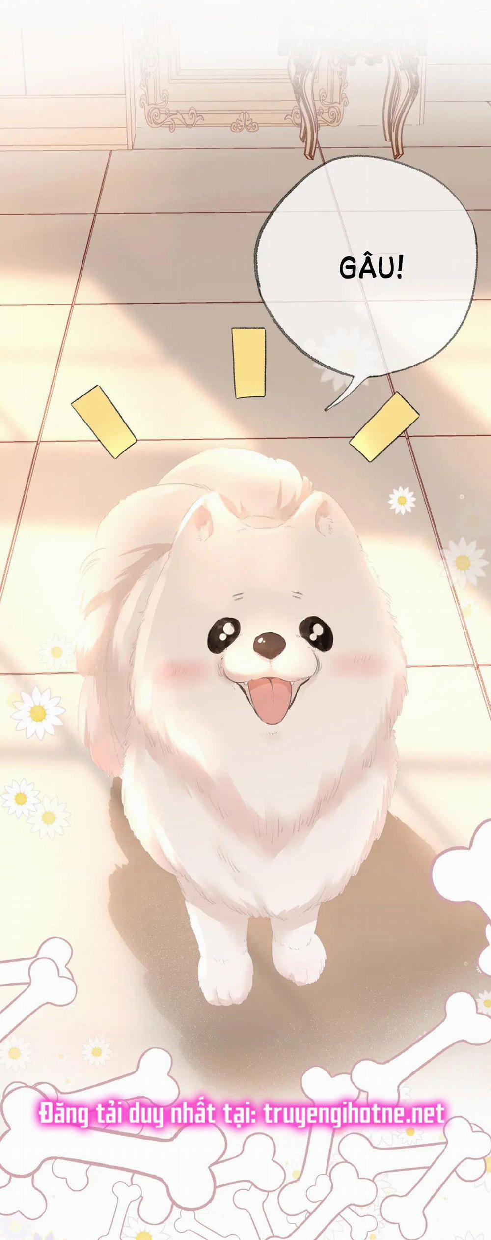 Thiêu Đốt 13 trang 1