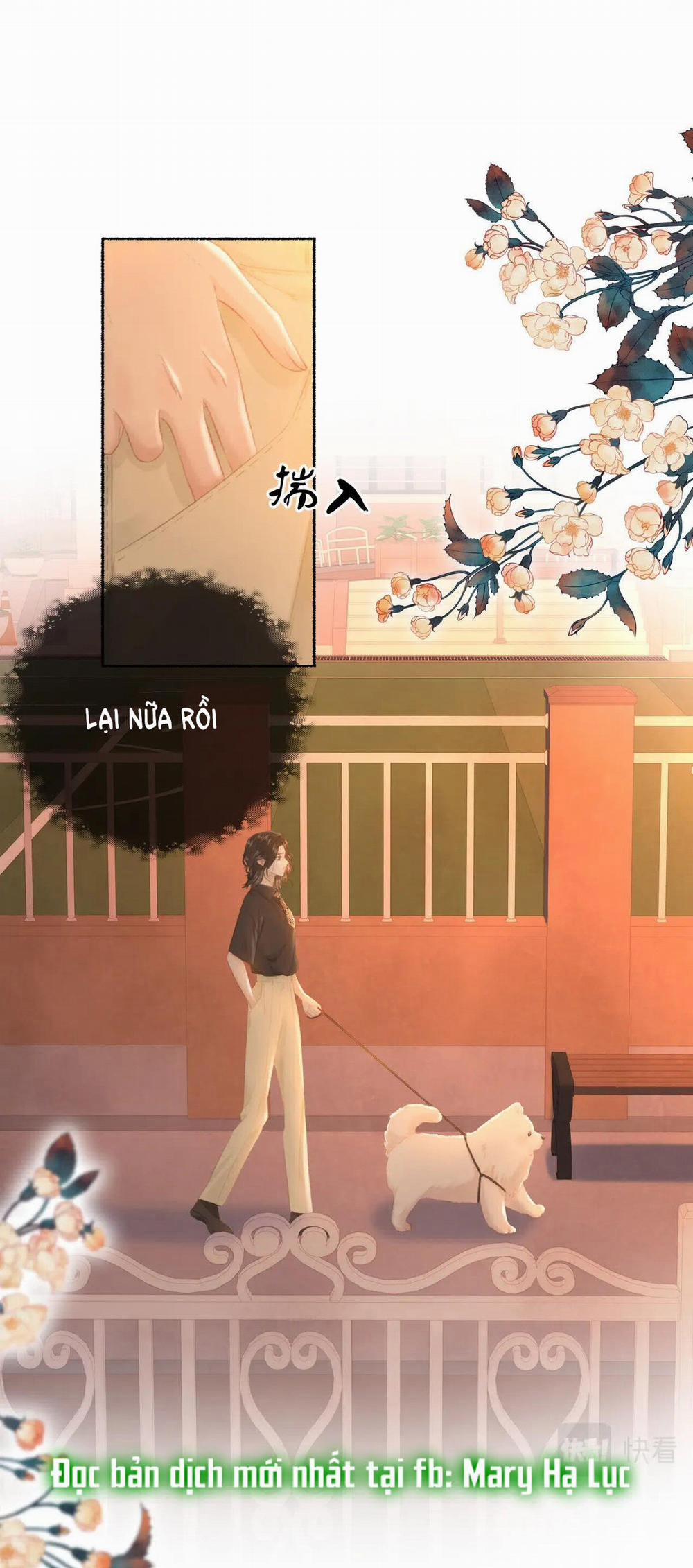 Thiêu Đốt 19 trang 19