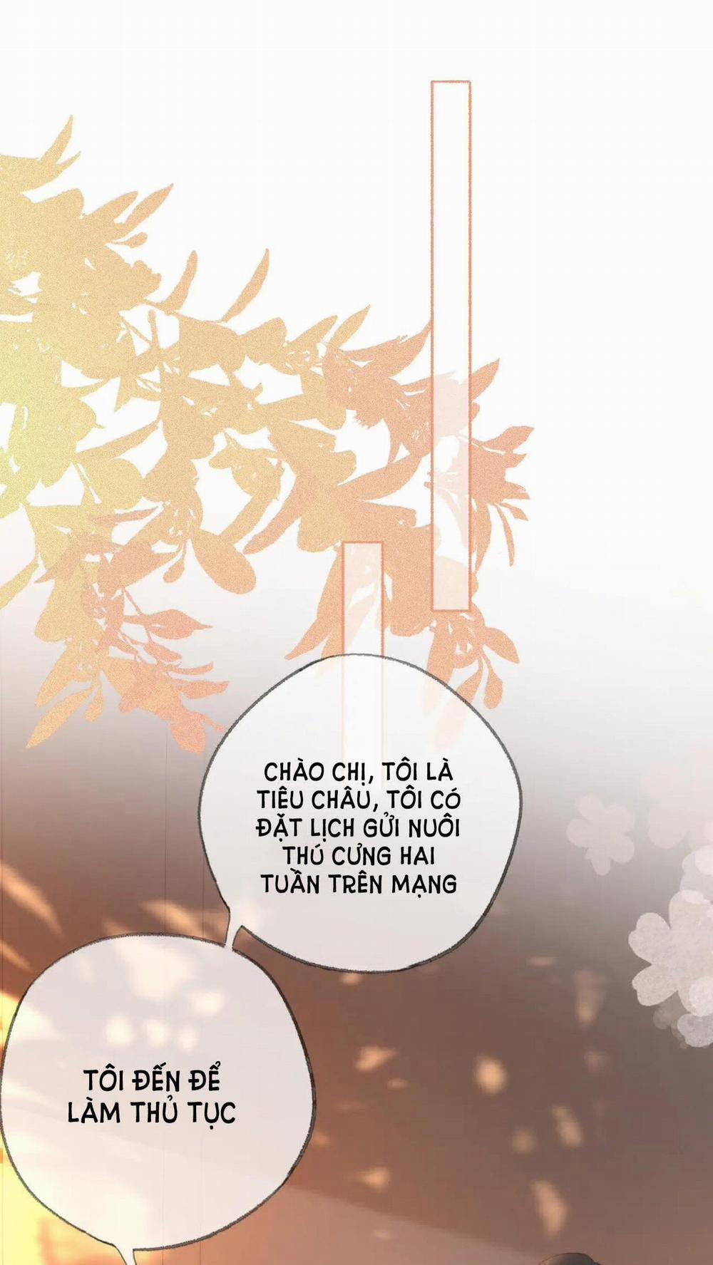 Thiêu Đốt 19 trang 23