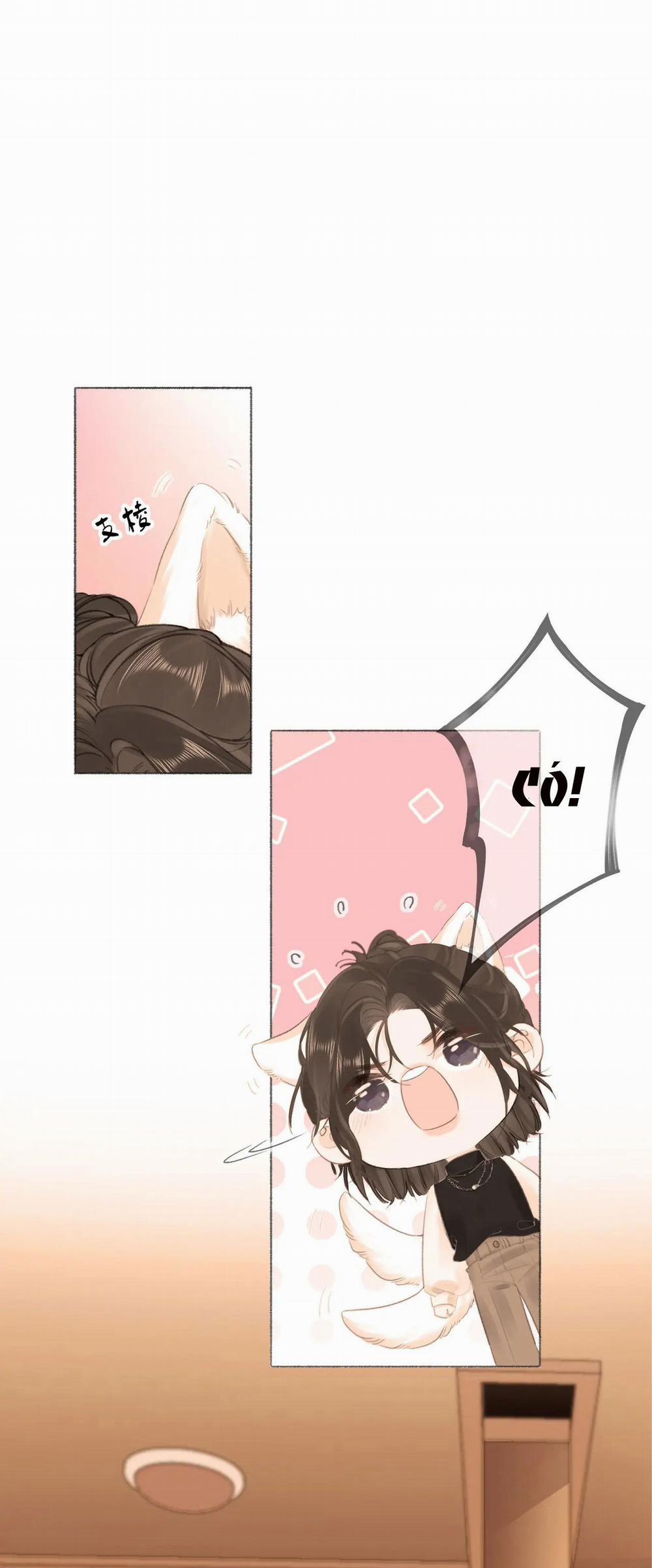 Thiêu Đốt 4 trang 20