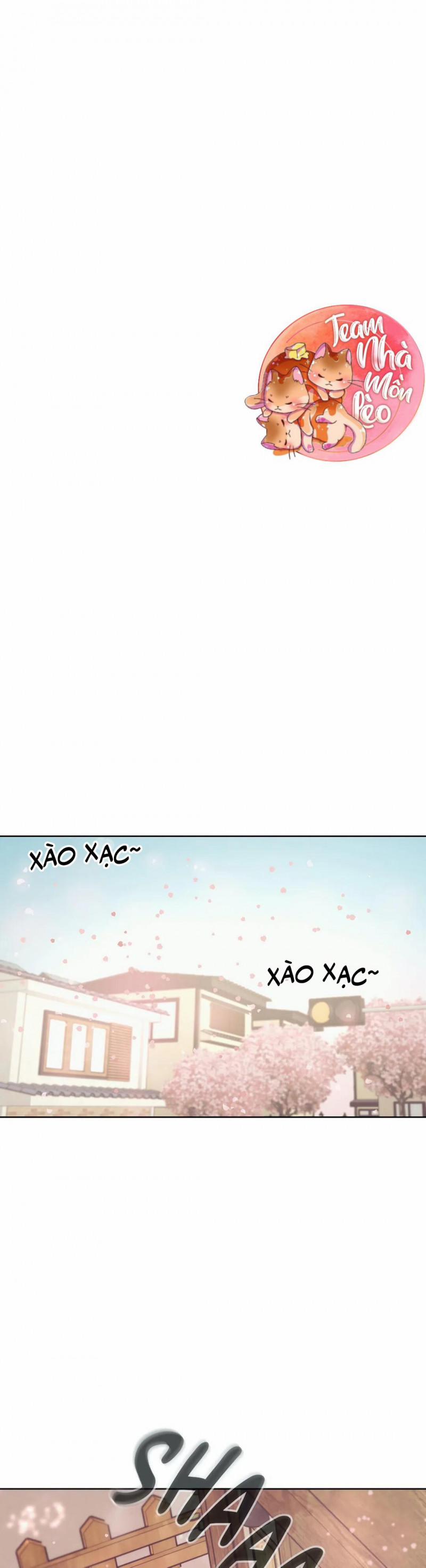 Thiếu Niên Sò 23 trang 1