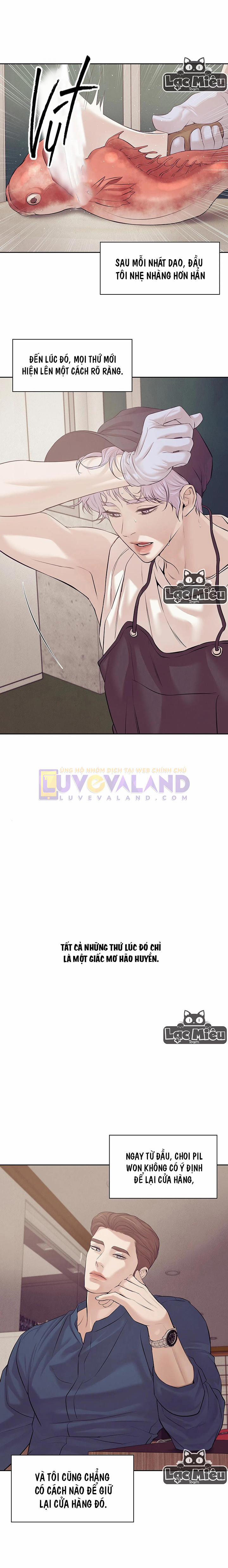 Thiếu Niên Sò 40.5 trang 0