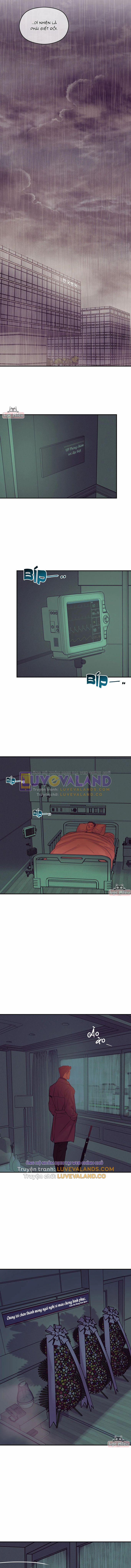 Thiếu Niên Sò 60 trang 4