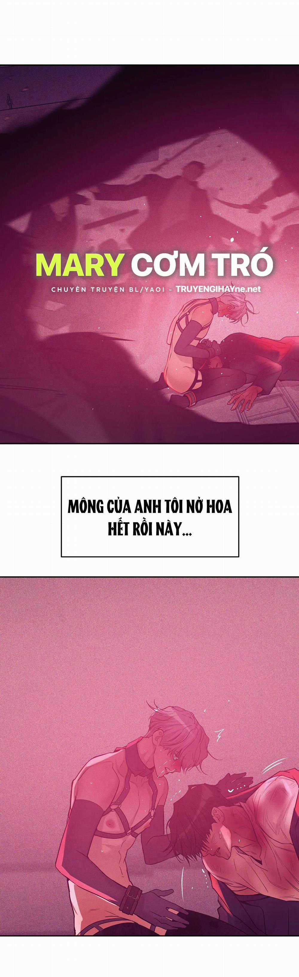 Thiếu Niên Sò 73.1 trang 15