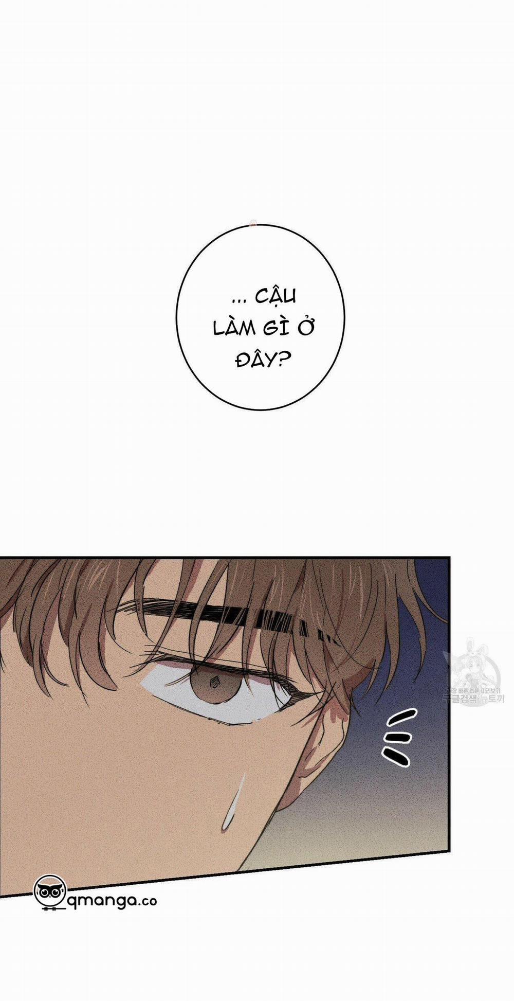 Thiếu Niên Văn Học 7 trang 0