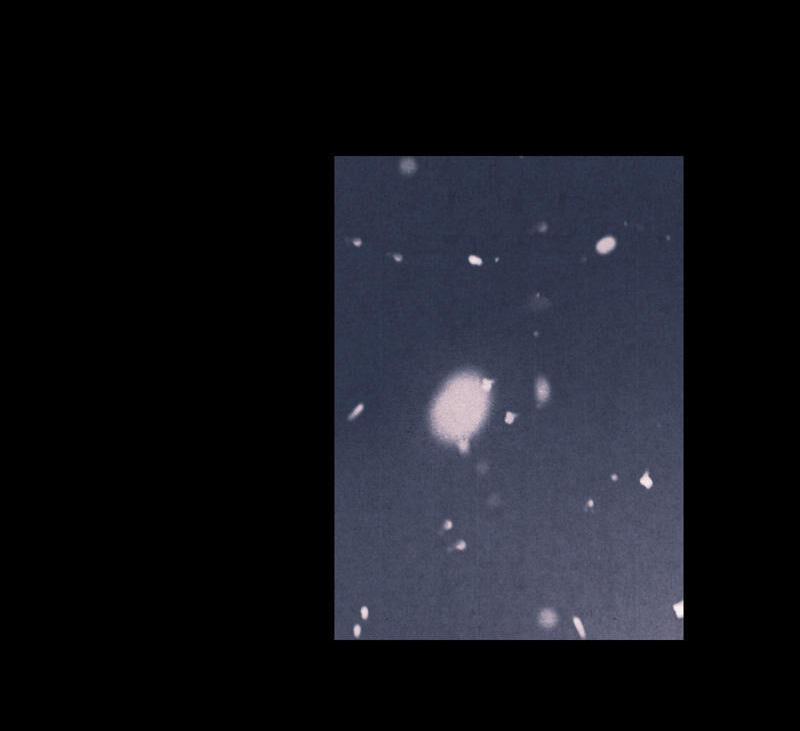 Thiếu Nữ Tản Mộng Đàm 12 trang 31