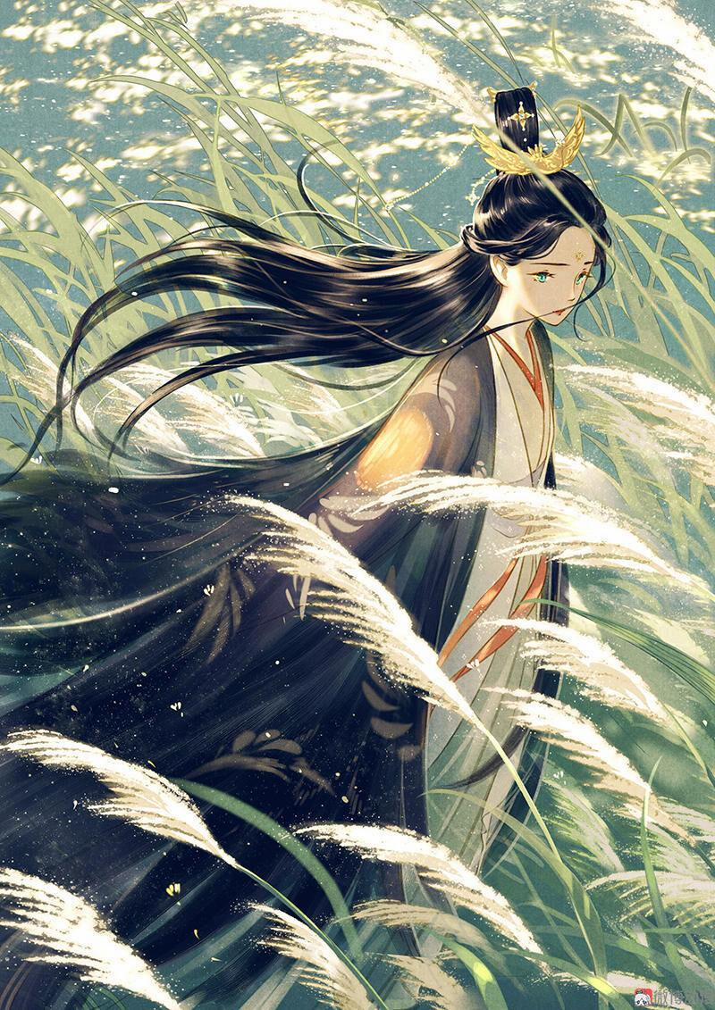 Thiếu Nữ Tản Mộng Đàm 5 trang 0