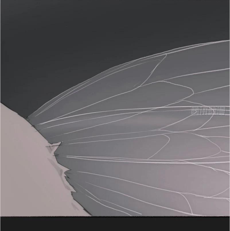 Thỉnh Cùng Ta Đồng Miên V1 2 trang 3