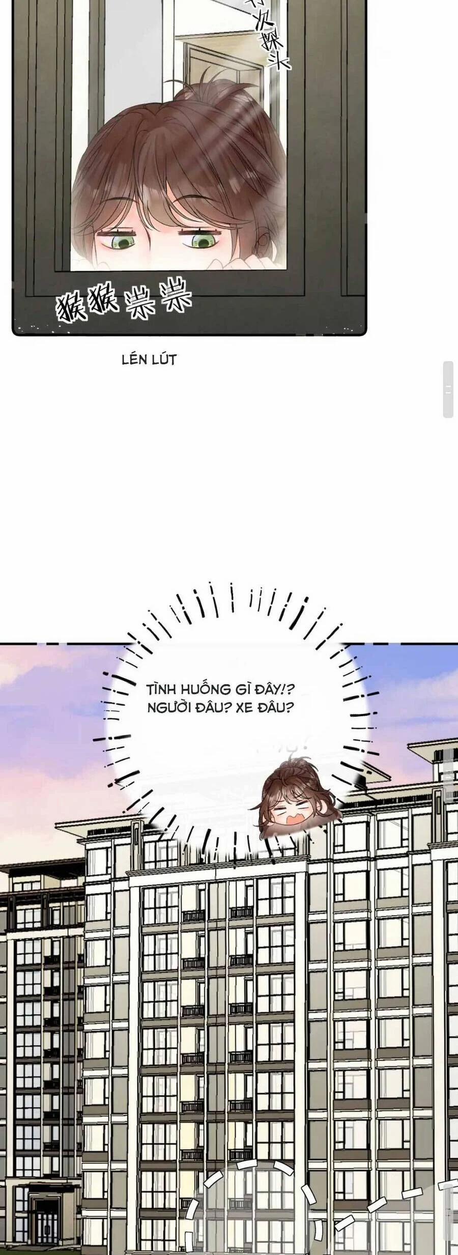 Thỉnh Đa Loan Chiếu 11 trang 28