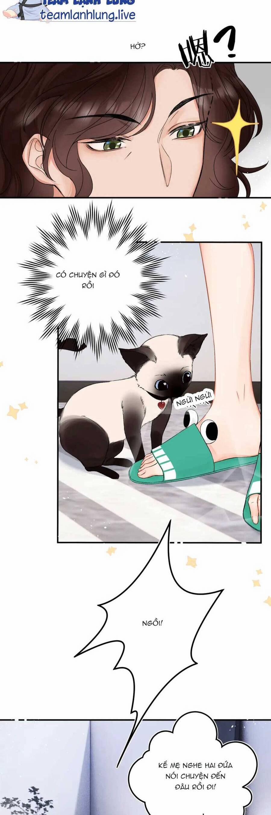 Thỉnh Đa Loan Chiếu 5 trang 9