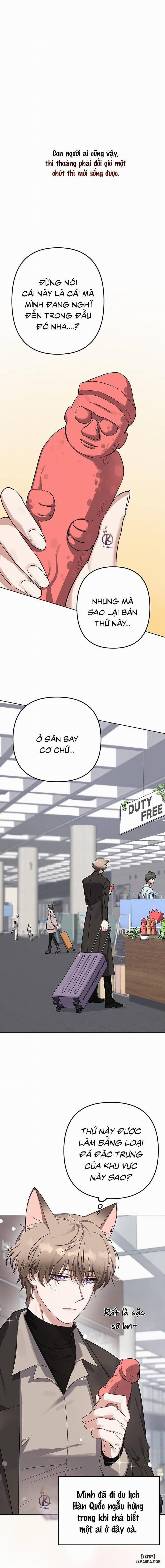 Thỏ 3 giây là bắn 1 trang 0