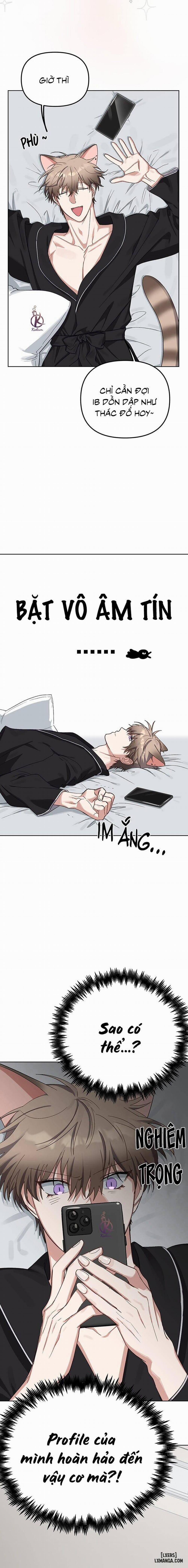 Thỏ 3 giây là bắn 1 trang 11