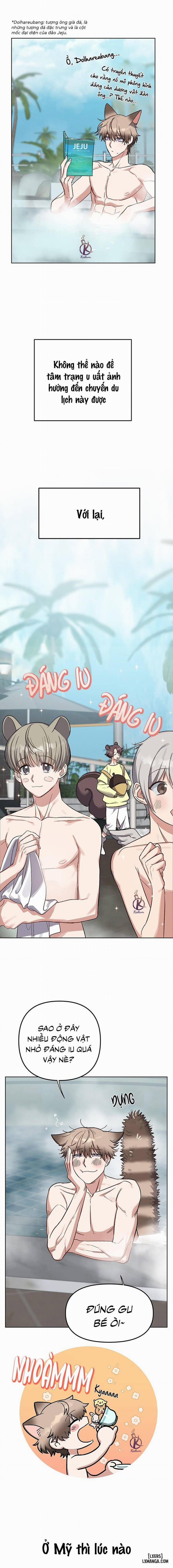 Thỏ 3 giây là bắn 1 trang 5