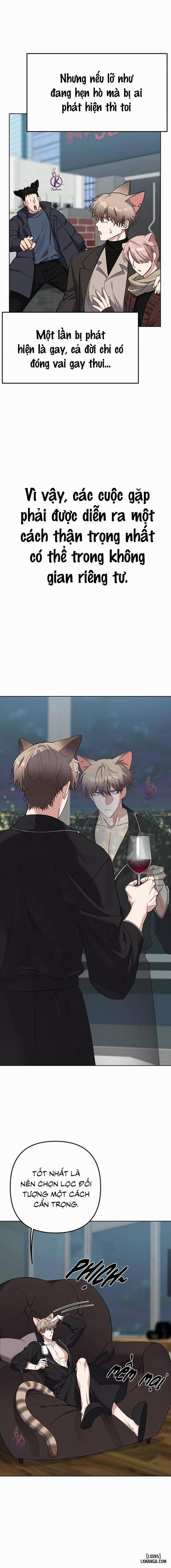 Thỏ 3 giây là bắn 1 trang 8