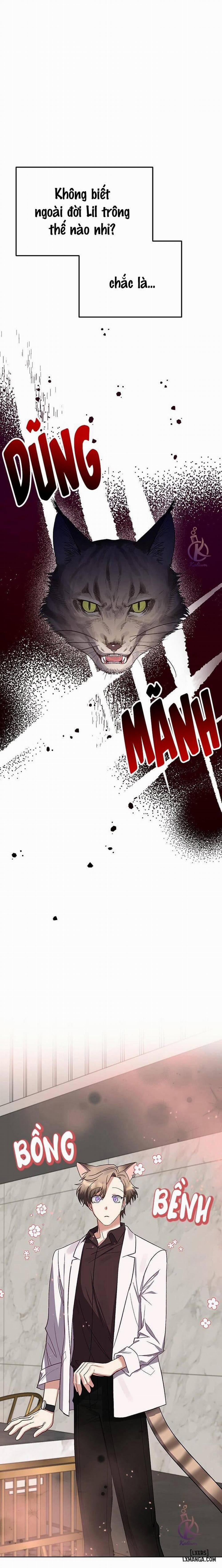 Thỏ 3 giây là bắn 2 trang 1